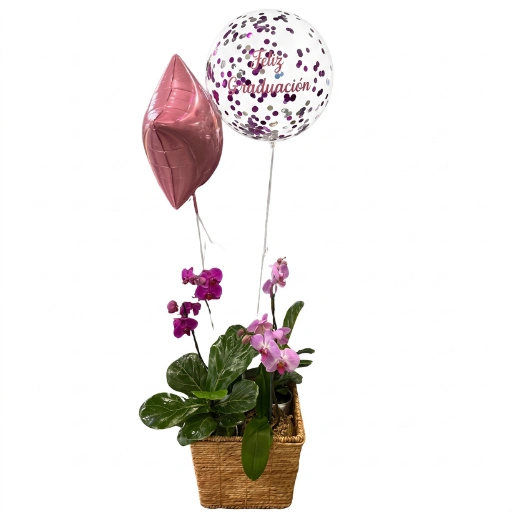 Canasta de orquideas y globos